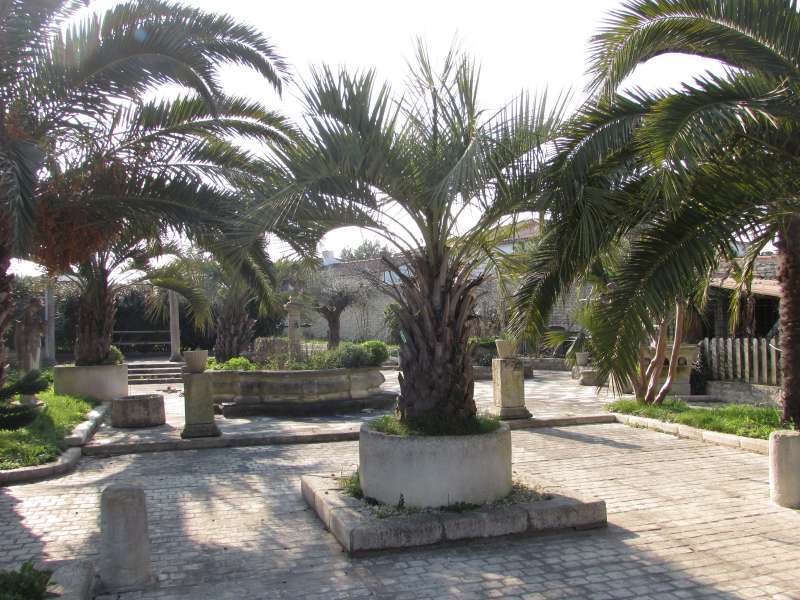 Photo 8 : JARDIN d'une maison située à La Flotte-en-Ré, île de Ré.