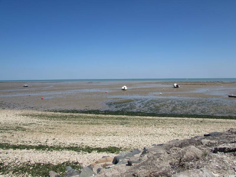 Photo 30 : EXTERIEUR d'une maison située à La Flotte-en-Ré, île de Ré.