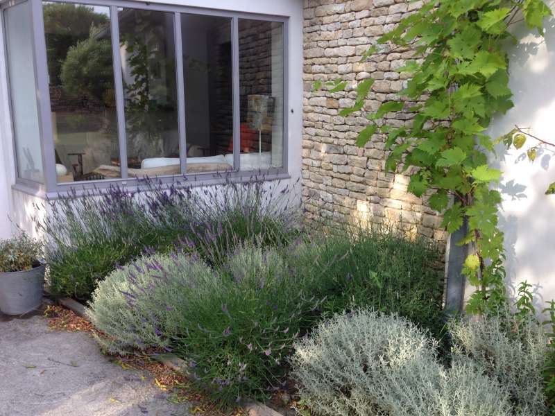 Photo 5 : NC d'une maison située à Saint-Clément-des-Baleines, île de Ré.