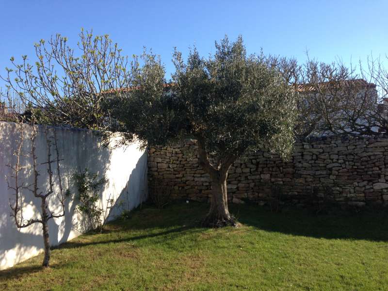 Photo 17 : NC d'une maison située à Saint-Clément-des-Baleines, île de Ré.