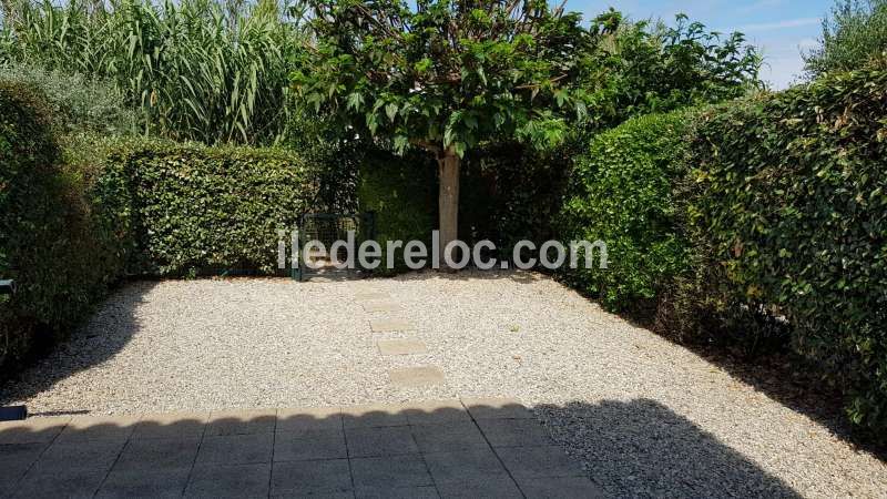 Photo 9 : TERRASSE d'une maison située à Ars en Ré, île de Ré.