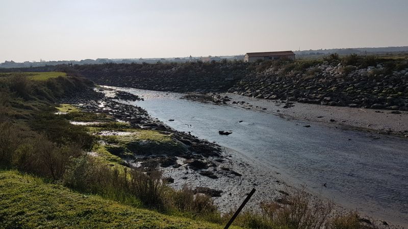 Photo 14 : AUTRE d'une maison située à Ars en Ré, île de Ré.