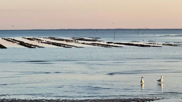 Photo 17 : NC d'une maison située à Ars en Ré, île de Ré.