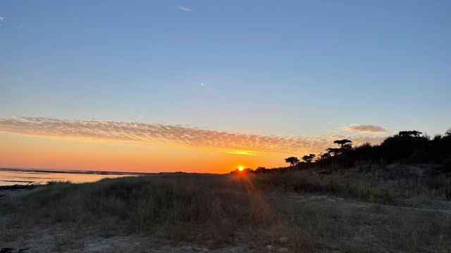 Photo 24 : NC d'une maison située à Ars en Ré, île de Ré.