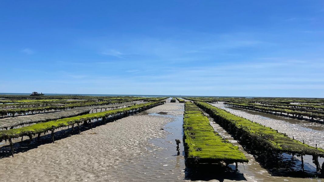 Photo 18 : NC d'une maison située à Ars en Ré, île de Ré.