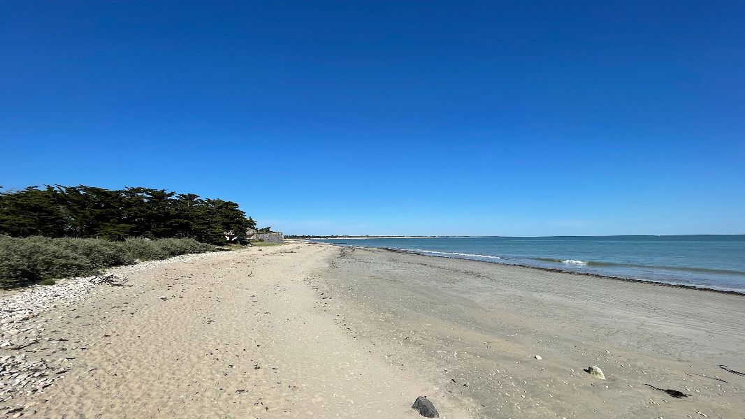 Photo 10 : NC d'une maison située à Ars en Ré, île de Ré.