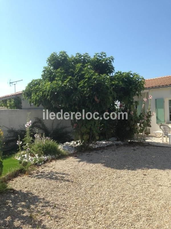 Photo 13 : JARDIN d'une maison située à Sainte-Marie-de-Ré, île de Ré.