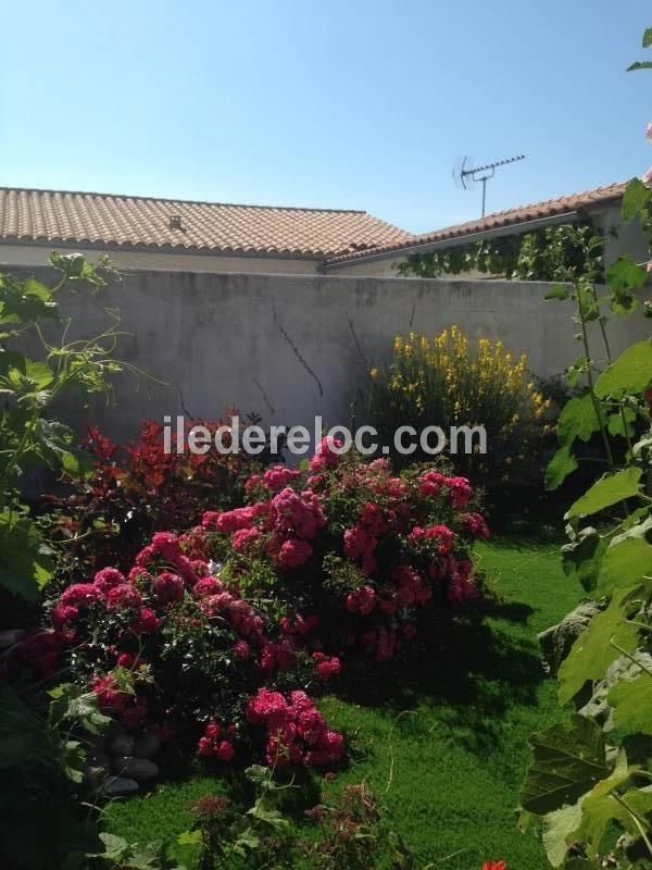 Photo 15 : JARDIN d'une maison située à Sainte-Marie-de-Ré, île de Ré.