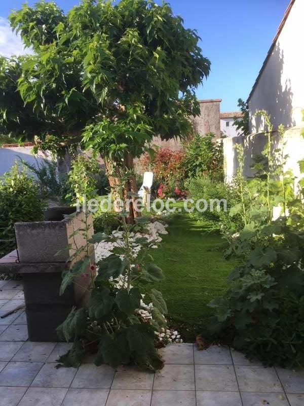 Photo 14 : TERRASSE d'une maison située à Sainte-Marie-de-Ré, île de Ré.