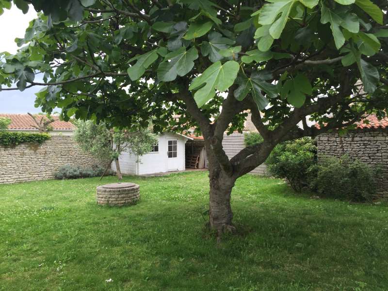 Photo 26 : JARDIN d'une maison située à Saint-Clément-des-Baleines, île de Ré.