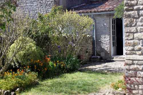 Photo 24 : JARDIN d'une maison située à Saint-Clément-des-Baleines, île de Ré.