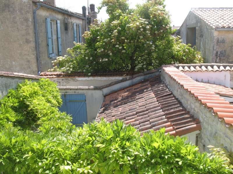 Photo 12 : NC d'une maison située à La Flotte, île de Ré.