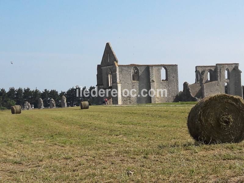 Photo 30 : NC d'une maison située à La Couarde-sur-mer, île de Ré.