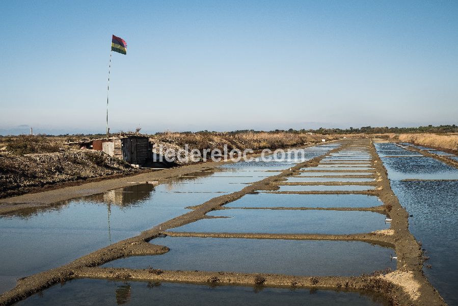 Photo 37 : AUTRE d'une maison située à La Couarde-sur-mer, île de Ré.