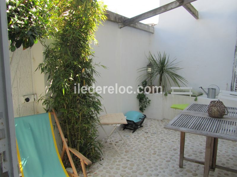 Photo 6 : PATIO d'une maison située à La Flotte-en-Ré, île de Ré.