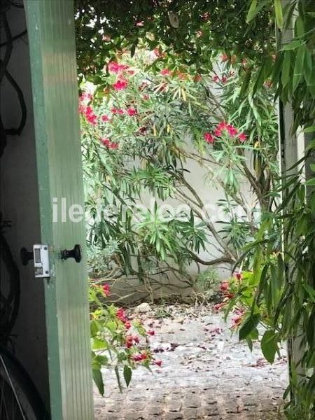 Photo 23 : PATIO d'une maison située à La Flotte-en-Ré, île de Ré.