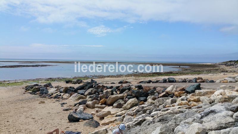 Photo 15 : NC d'une maison située à Ars, île de Ré.