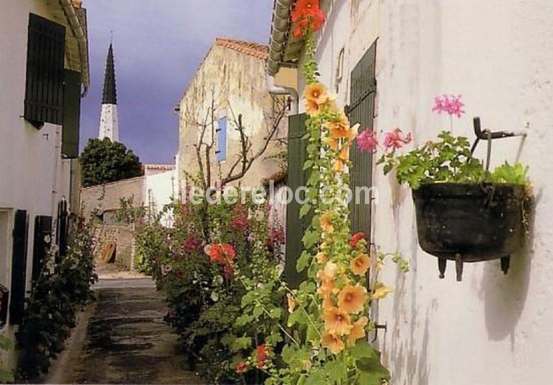 Photo 17 : NC d'une maison située à Ars, île de Ré.