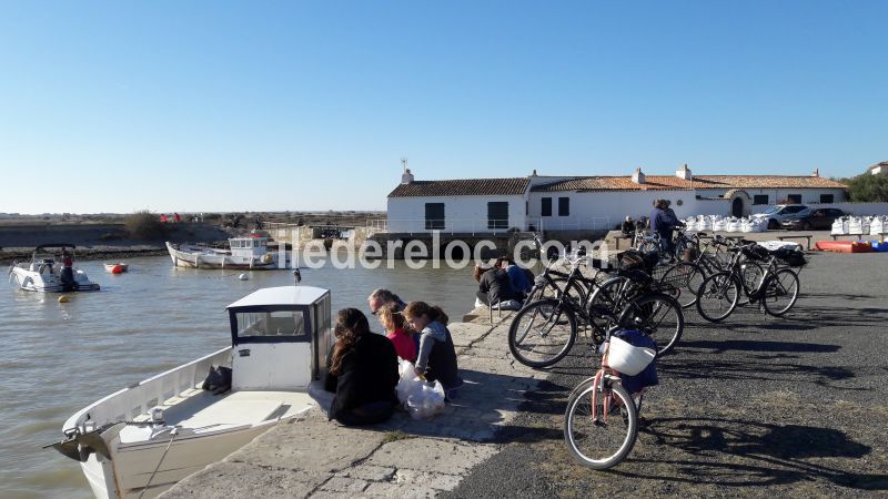 Photo 16 : AUTRE d'une maison située à Loix, île de Ré.