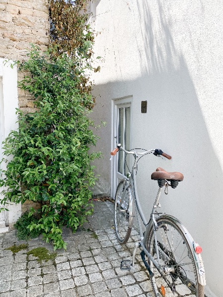 Photo 83 : AUTRE d'une maison située à Les Portes, île de Ré.