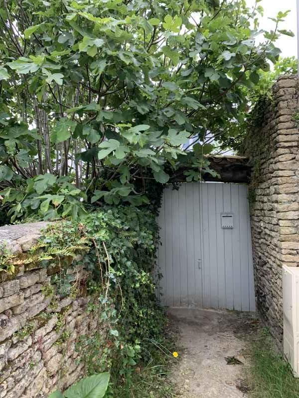 Photo 14 : EXTERIEUR d'une maison située à Les Portes, île de Ré.