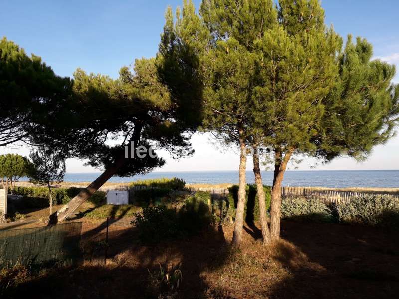 Photo 12 : EXTERIEUR d'une maison située à Les Portes, île de Ré.