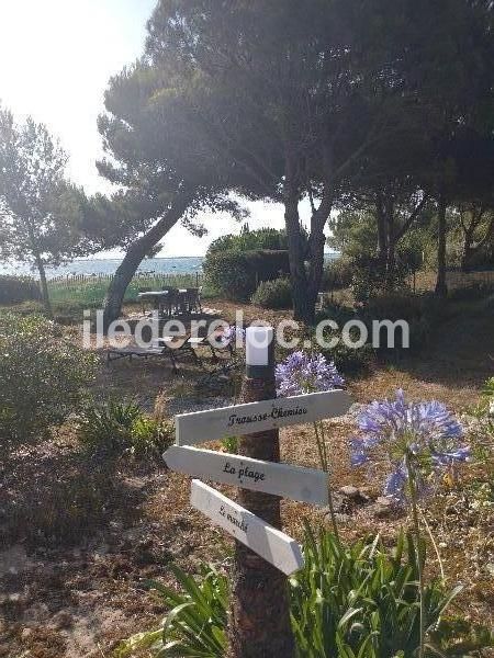 Photo 16 : EXTERIEUR d'une maison située à Les Portes, île de Ré.