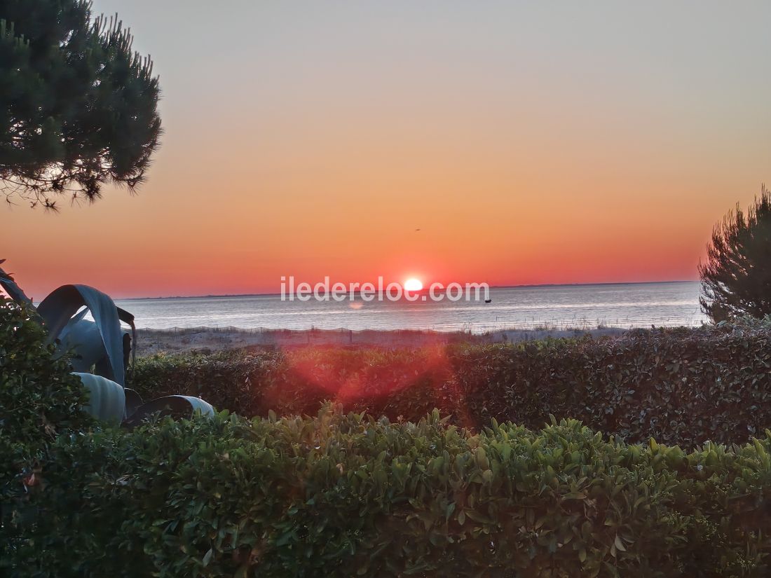 Photo 16 : EXTERIEUR d'une maison situ&eacute;e &agrave; Les Portes-en-R&eacute;, &icirc;le de R&eacute;.
