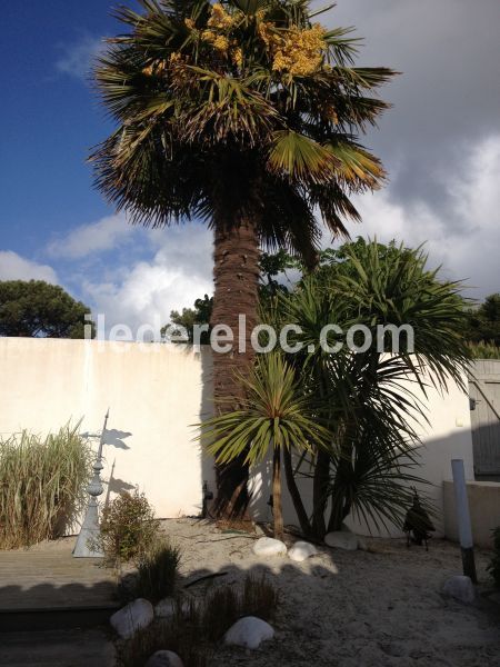 Photo 20 : NC d'une maison située à Les Portes-en-Ré, île de Ré.