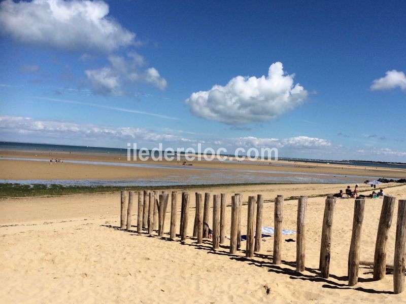 Photo 4 : NC d'une maison située à Les Portes-en-Ré, île de Ré.