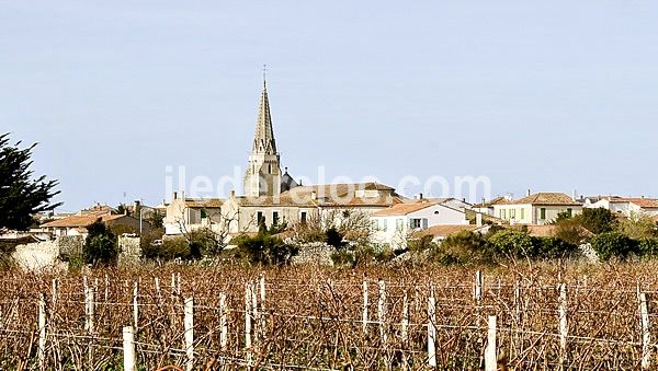 Photo 47 : NC d'une maison située à Sainte-Marie-de-Ré, île de Ré.