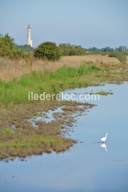 Photo 9 : AUTRE d'une maison située à Saint-Clément-des-Baleines, île de Ré.