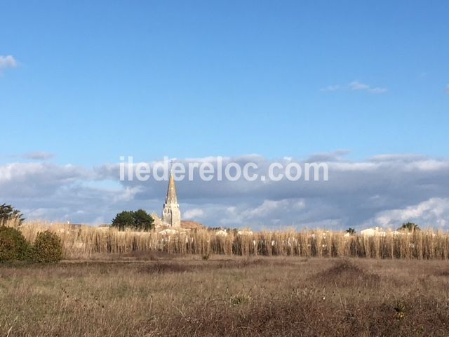 Photo 25 : NC d'une maison située à Sainte-Marie-de-Ré, île de Ré.