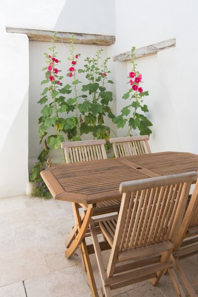 Photo 9 : PATIO d'une maison située à La Couarde, île de Ré.