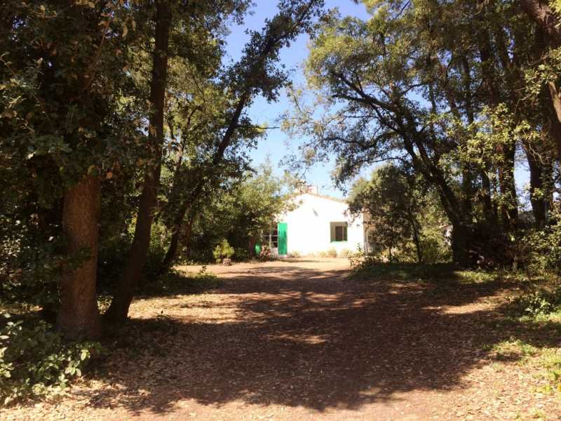 Photo 2 : JARDIN d'une maison située à La Couarde-sur-mer, île de Ré.