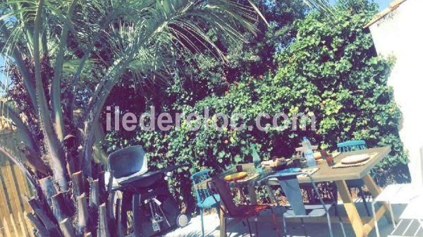 Photo 16 : TERRASSE d'une maison située à La Flotte, île de Ré.