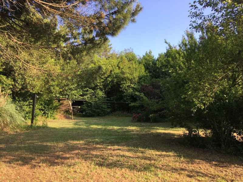 Photo 24 : JARDIN d'une maison située à Le Bois-Plage-en-Ré, île de Ré.