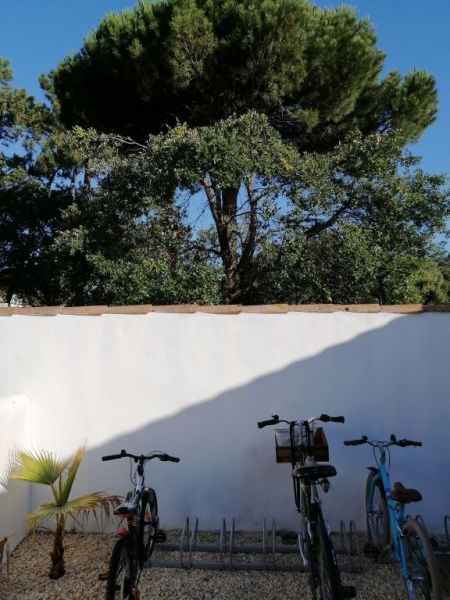 Photo 35 : NC d'une maison située à La Couarde-sur-mer, île de Ré.