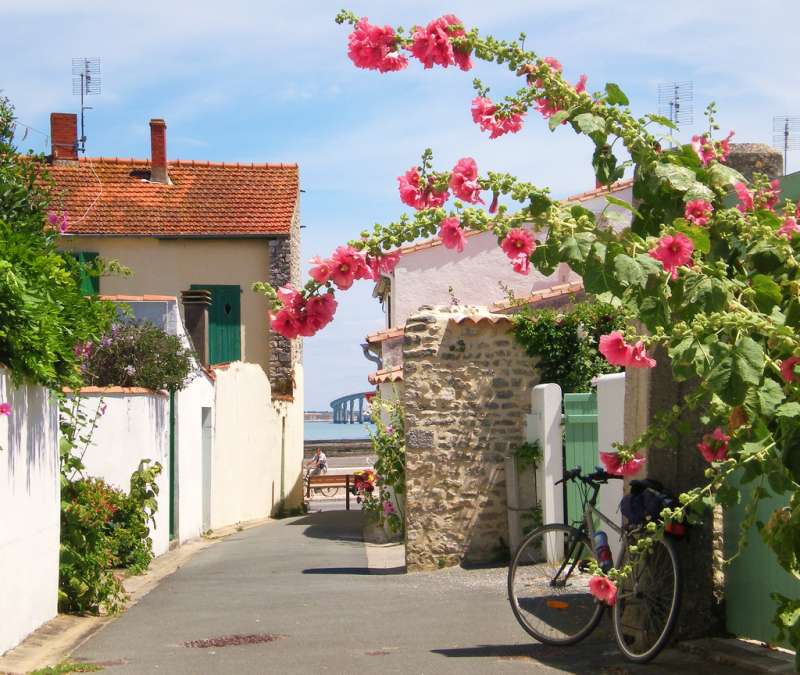 Photo 25 : NC d'une maison située à La Flotte-en-Ré, île de Ré.