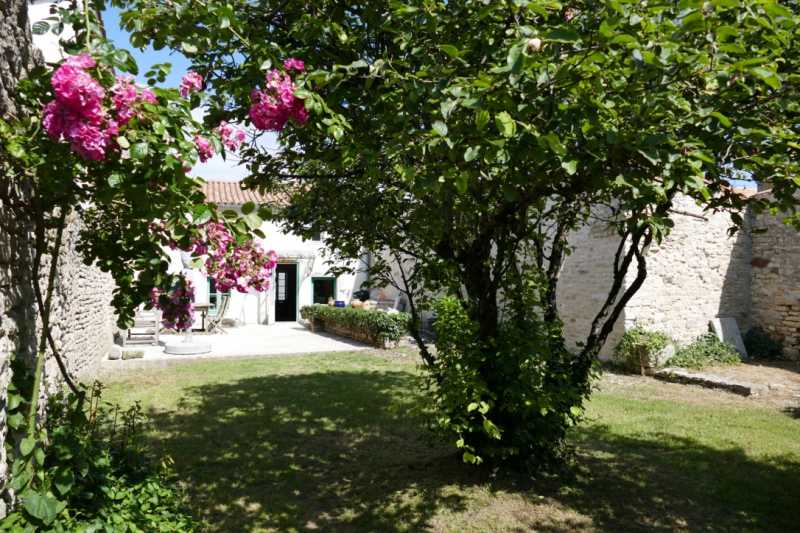 Photo 1 : JARDIN d'une maison située à Ars en Ré, île de Ré.