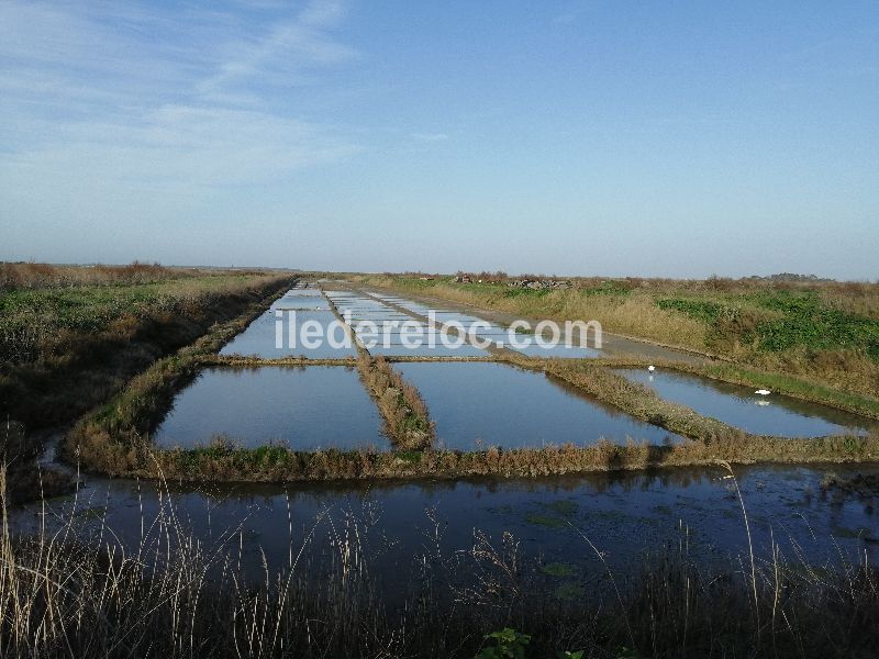 Photo 19 : NC d'une maison située à Ars en Ré, île de Ré.