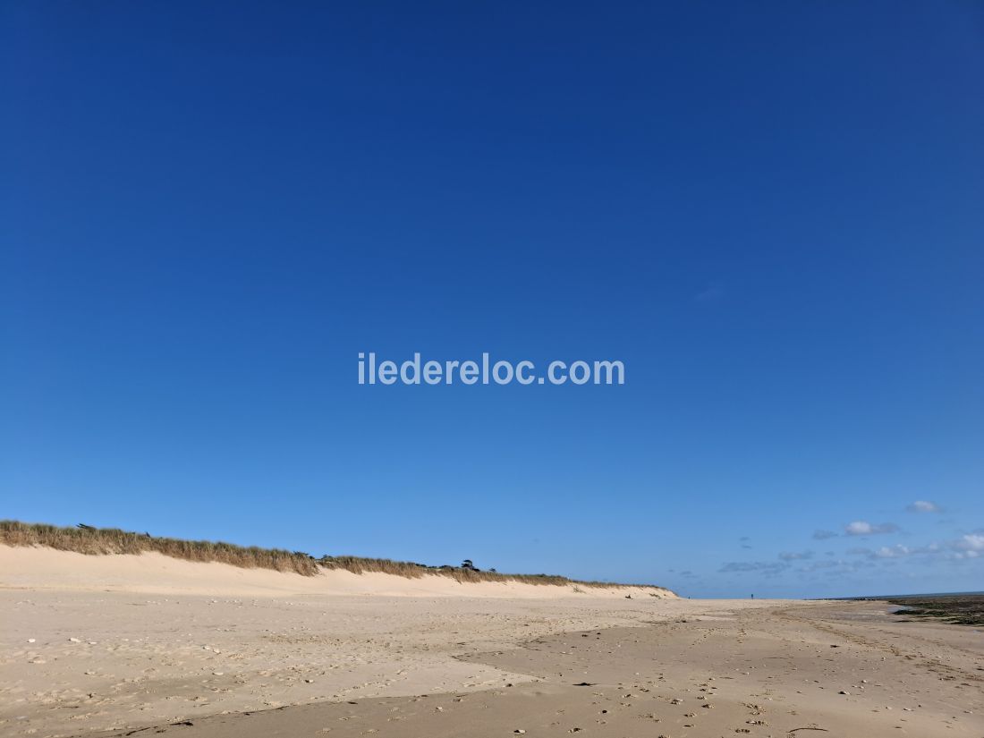 Photo 21 : NC d'une maison située à Ars en Ré, île de Ré.