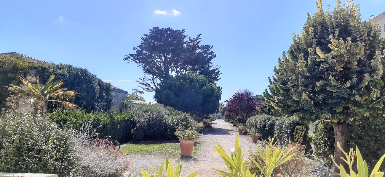 Photo 50 : NC d'une maison située à Saint-Martin-de-Ré, île de Ré.