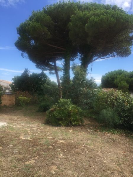 Photo 7 : NC d'une maison située à Le Bois-Plage-en-Ré, île de Ré.