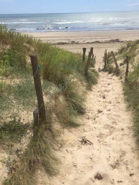 Photo 23 : NC d'une maison située à Le Bois-Plage-en-Ré, île de Ré.