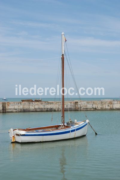 Photo 41 : NC d'une maison située à Sainte-Marie-de-Ré, île de Ré.