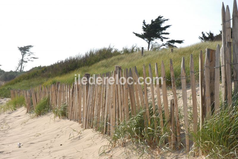 Photo 35 : NC d'une maison située à Sainte-Marie-de-Ré, île de Ré.