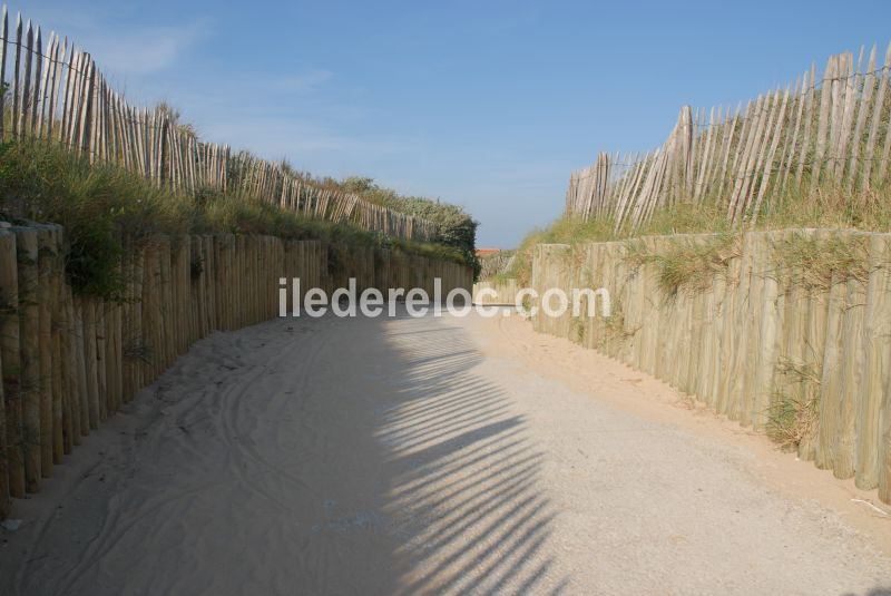 Photo 34 : NC d'une maison située à Sainte-Marie-de-Ré, île de Ré.