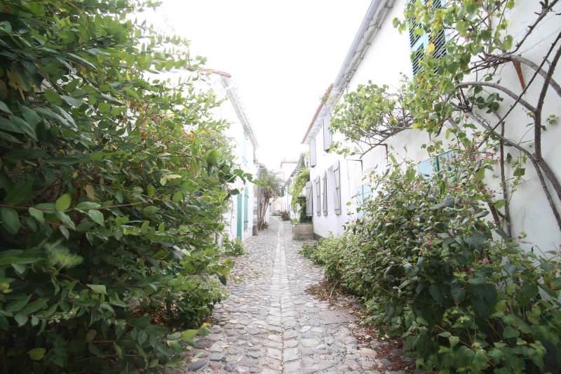 Photo 13 : EXTERIEUR d'une maison située à Saint-Martin-de-Ré, île de Ré.