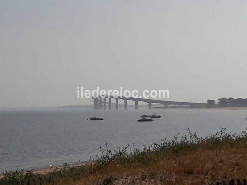 Photo 23 : EXTERIEUR d'une maison située à La Couarde-sur-mer, île de Ré.